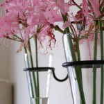 Glass Wall Vase design