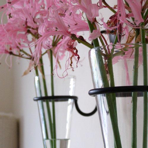 Glass wall vases for flowers