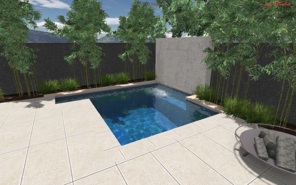 Pool Design Ideas for Small Backyards - 02 Deep Dives